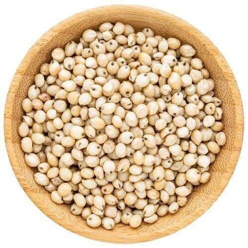 Jowar (sorghum)
