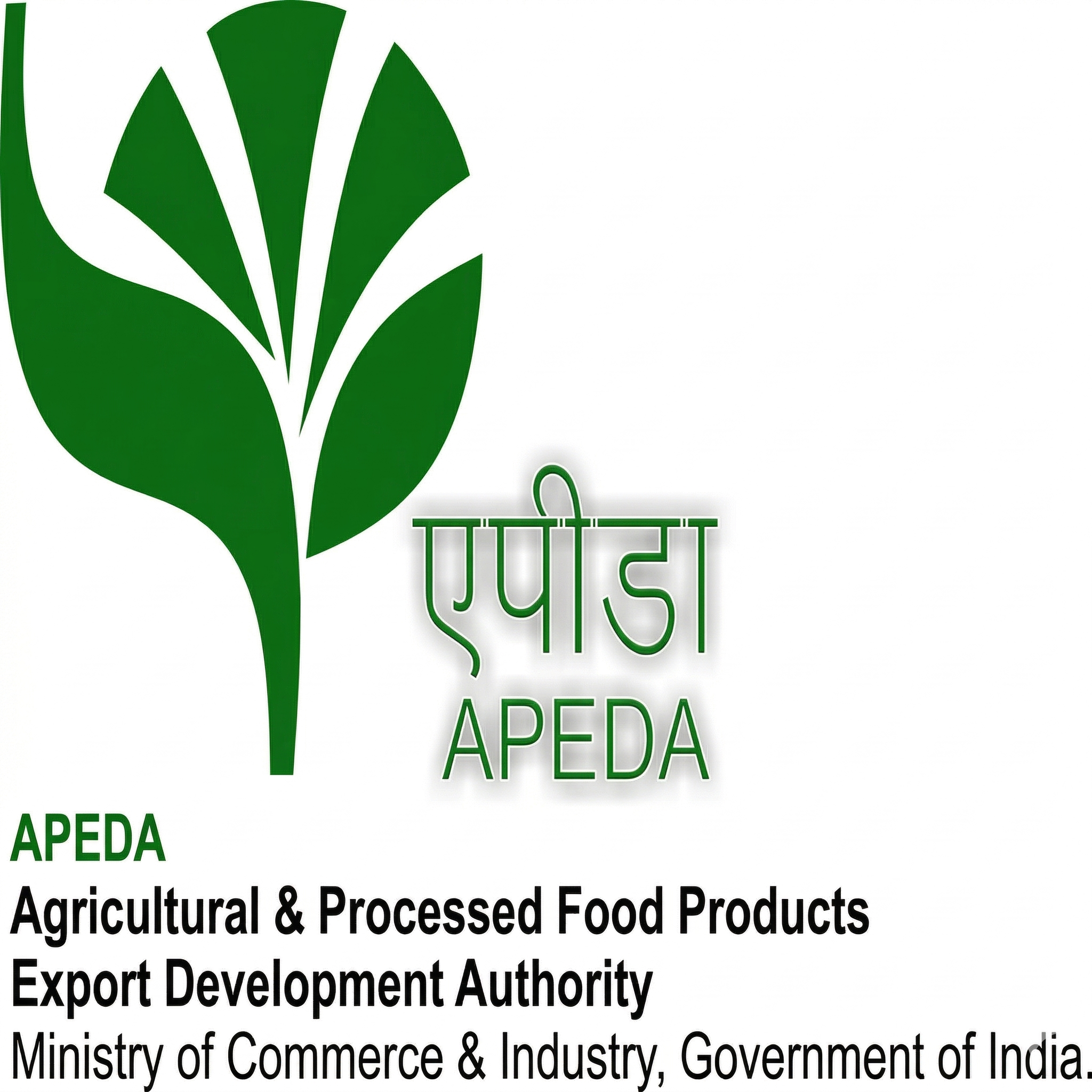 APEDA Member